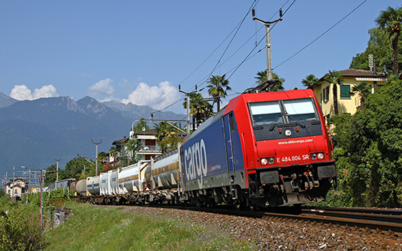 20.50.50. Naturschutz_SBB_Re484